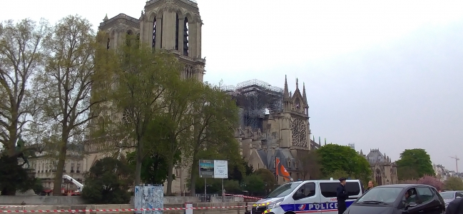 Notre-Dame de Paris : des grands noms du PE se mobilisent