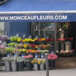 Monceau Fleurs renoue avec la rentabilité