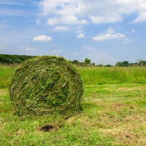 Premier closing de CapAgro, dédié à l'innovation de la filière agricole