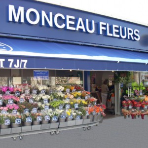 Perceva monte à 100% du capital de la holding de Monceau Fleurs